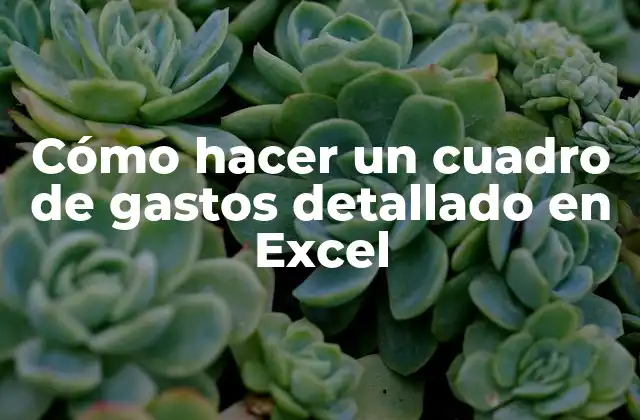 Cómo Hacer un Cuadro de Gastos Detallado en Excel