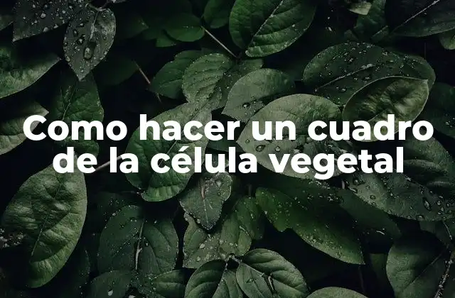 Como Hacer un Cuadro de la Célula Vegetal