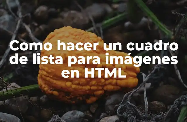 Como Hacer un Cuadro de Lista para Imágenes en Html