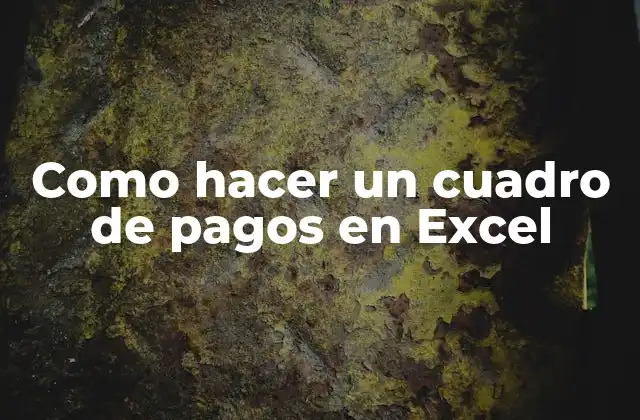 Como Hacer un Cuadro de Pagos en Excel