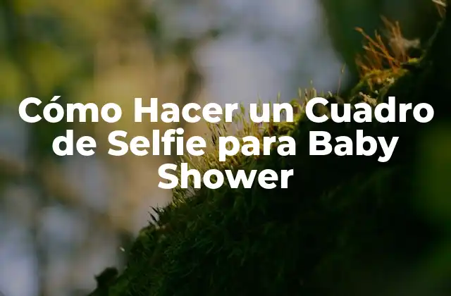 Cómo Hacer un Cuadro de Selfie para Baby Shower