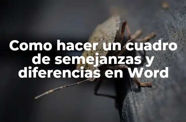 Como Hacer un Cuadro de Semejanzas y Diferencias en Word