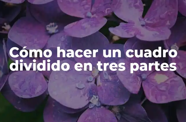 Cómo Hacer un Cuadro Dividido en Tres Partes