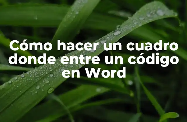 Cómo Hacer un Cuadro Donde entre un Código en Word