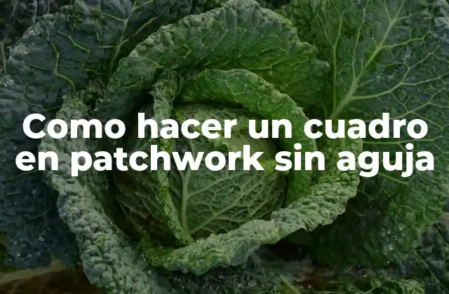 Como Hacer un Cuadro en Patchwork sin Aguja
