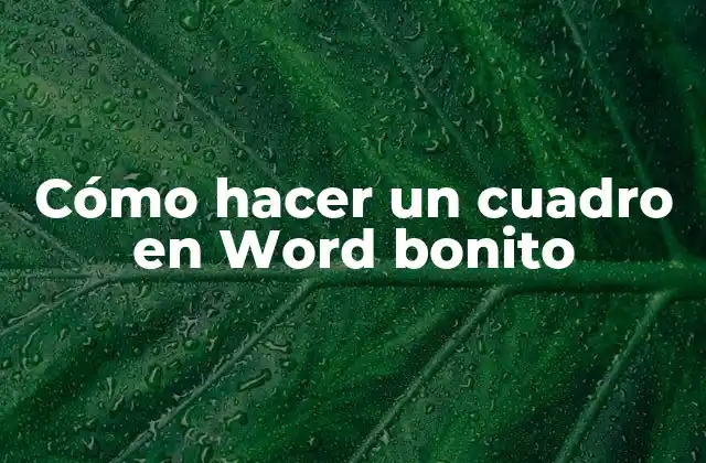 Cómo Hacer un Cuadro en Word Bonito