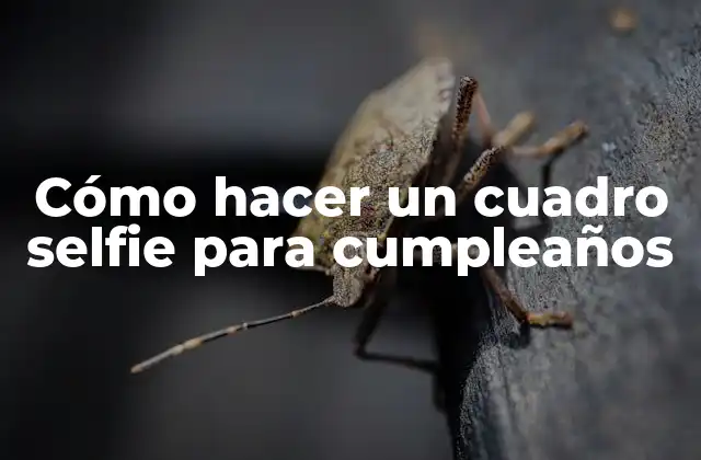 Cómo Hacer un Cuadro Selfie para Cumpleaños