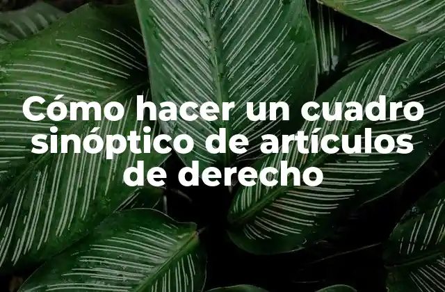 Cómo Hacer un Cuadro Sinóptico de Artículos de Derecho