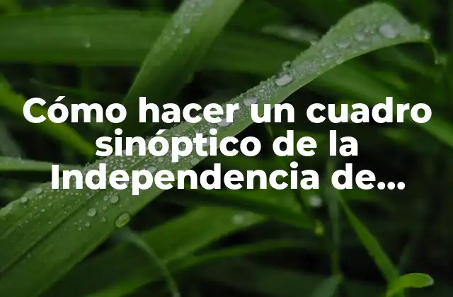 Cómo Hacer un Cuadro Sinóptico de la Independencia de México 2 ¿Qué es un cuadro sinóptico de la Independencia de México?