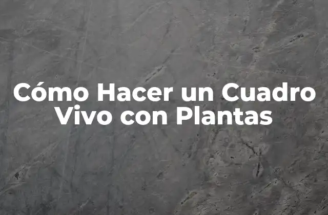 Cómo Hacer un Cuadro Vivo con Plantas