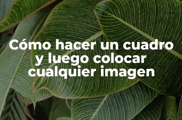 Cómo Hacer un Cuadro y Luego Colocar Cualquier Imagen