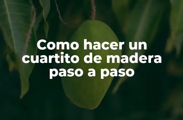 Como Hacer un Cuartito de Madera Paso a Paso