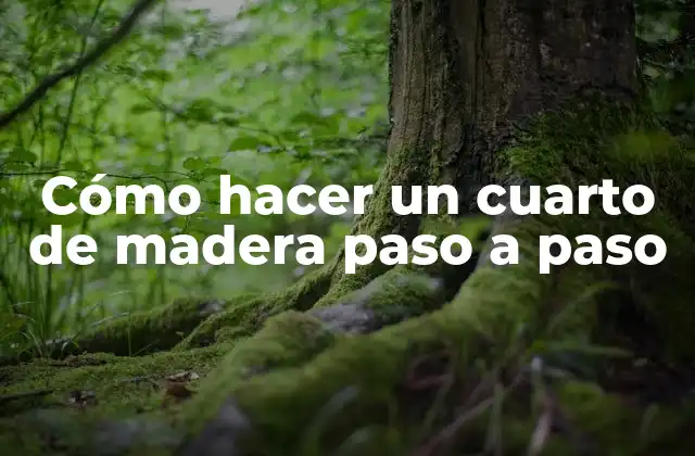 Cómo Hacer un Cuarto de Madera Paso a Paso 2 Cómo hacer un cuarto de madera paso a paso
