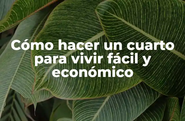 Cómo Hacer un Cuarto para Vivir Fácil y Económico