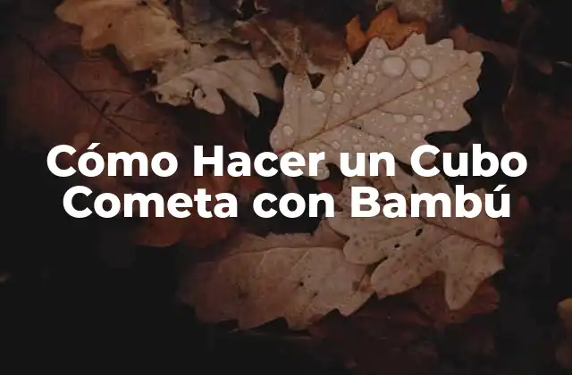 ¿Qué es un Cubo Cometa con Bambú?
