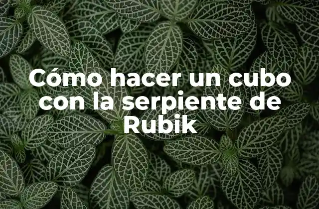 ¿Qué es la serpiente de Rubik?