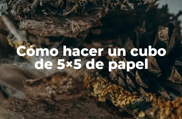 Cómo Hacer un Cubo de 5×5 de Papel