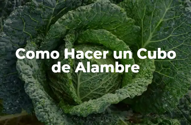 Como Hacer un Cubo de Alambre