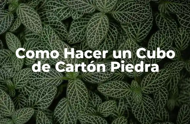 Como Hacer un Cubo de Cartón Piedra
