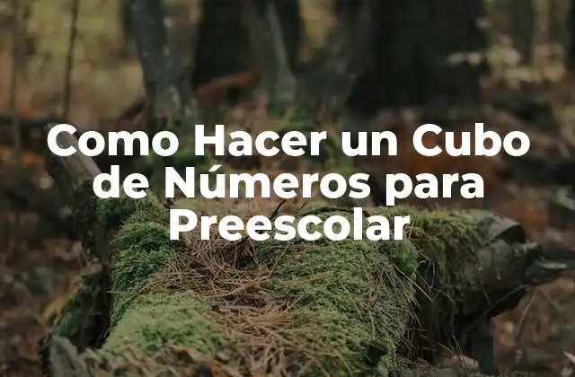Como Hacer un Cubo de Números para Preescolar