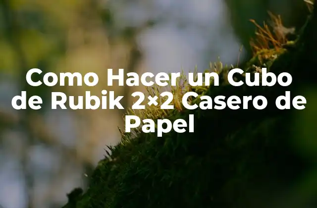 Como Hacer un Cubo de Rubik 2×2 Casero de Papel
