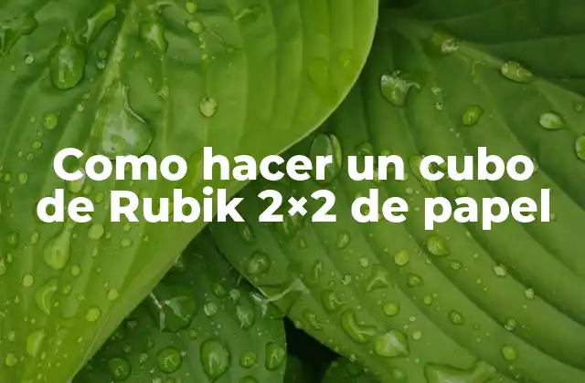 Como Hacer un Cubo de Rubik 2×2 de Papel