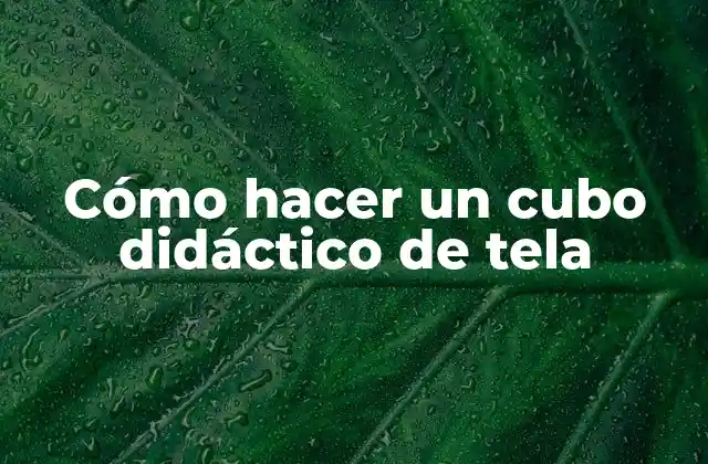 Cómo Hacer un Cubo Didáctico de Tela