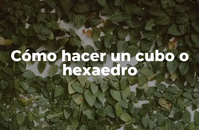 Cómo Hacer un Cubo o Hexaedro