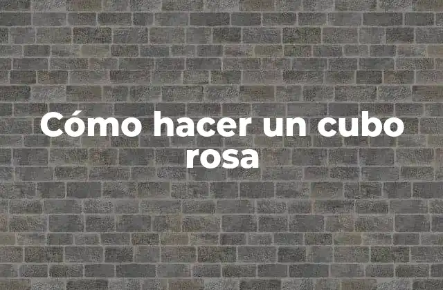 Cómo Hacer un Cubo Rosa