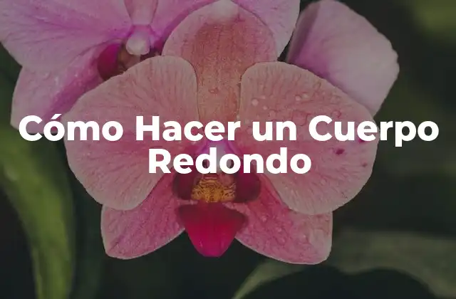 Cómo Hacer un Cuerpo Redondo