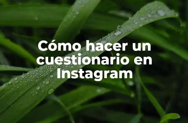 Cómo Hacer un Cuestionario en Instagram