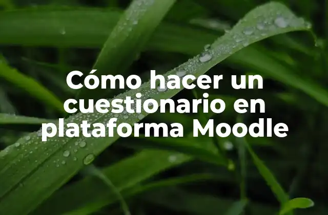 Cómo Hacer un Cuestionario en Plataforma Moodle 2 Cómo hacer un cuestionario en plataforma Moodle