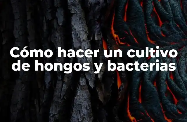 Cómo Hacer un Cultivo de Hongos y Bacterias