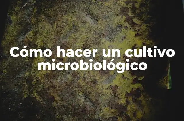 Cómo Hacer un Cultivo Microbiológico
