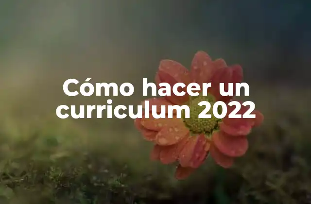 Cómo Hacer un Curriculum 2022