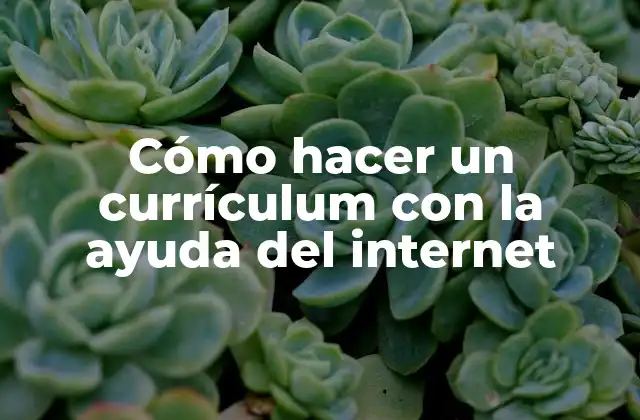 Cómo Hacer un Currículum con la Ayuda Del Internet