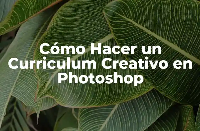 Cómo Hacer un Curriculum Creativo en Photoshop