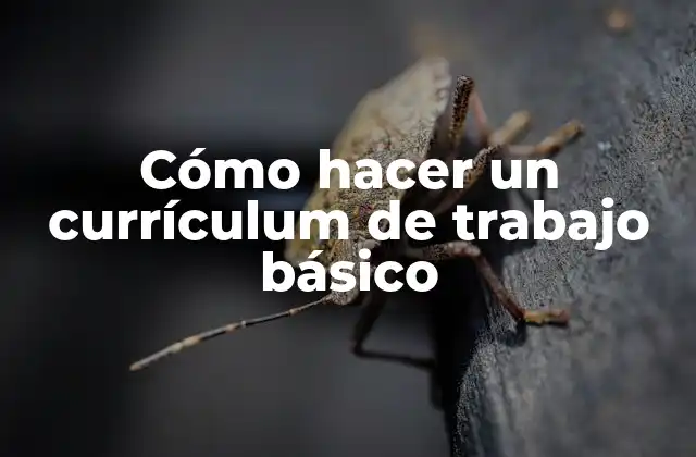 Cómo Hacer un Currículum de Trabajo Básico
