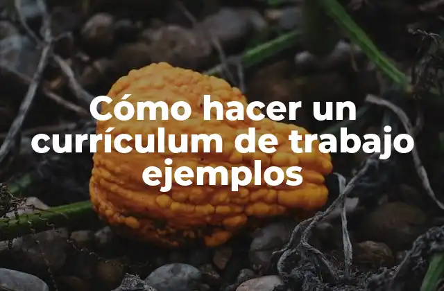 Cómo Hacer un Currículum de Trabajo Ejemplos