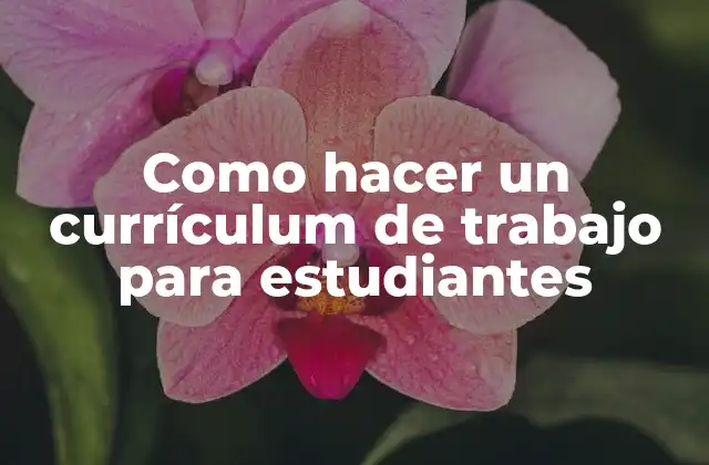 Como Hacer un Currículum de Trabajo para Estudiantes