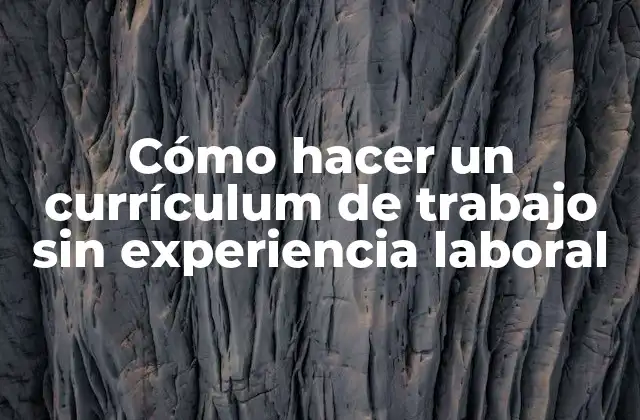 Cómo Hacer un Currículum de Trabajo sin Experiencia Laboral
