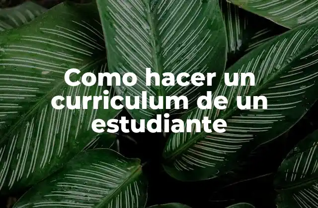 Como Hacer un Curriculum de un Estudiante