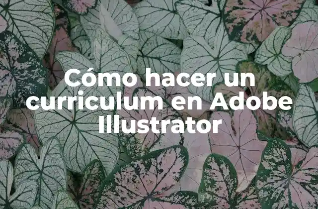 Cómo hacer un currículum en Adobe Illustrator