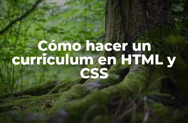 Cómo Hacer un Curriculum en Html y Css