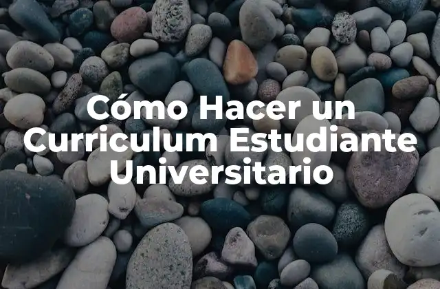 Cómo Hacer un Curriculum Estudiante Universitario