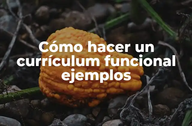 Cómo Hacer un Currículum Funcional Ejemplos 2 Cómo hacer un currículum funcional