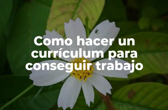 Como Hacer un Currículum para Conseguir Trabajo 2 Currículum, definición y propósito