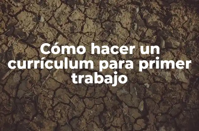 Cómo Hacer un Currículum para Primer Trabajo