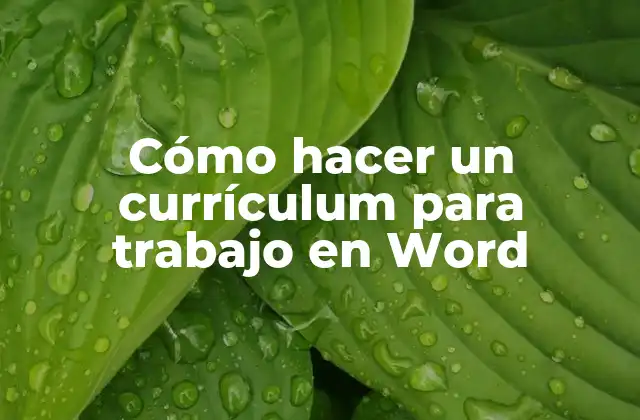 Cómo Hacer un Currículum para Trabajo en Word