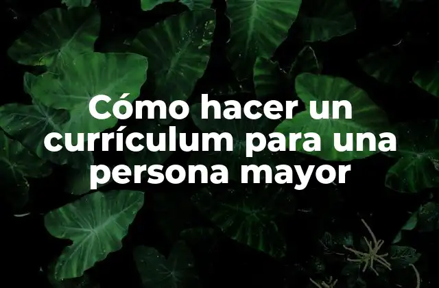 Cómo Hacer un Currículum para una Persona Mayor